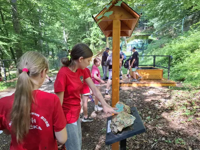 Galéria