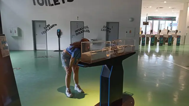 Galéria