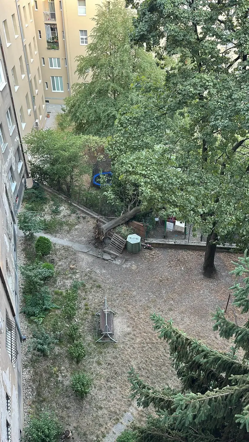 Včerajší výjazd na technický zásah - padnutý strom vo vnútrobloku