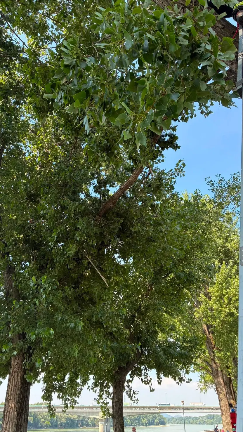 Odstraňovanie dôsledkov nedeľnej búrky pokračovalo aj počas pondelka a utorka 🚒🧑🚒