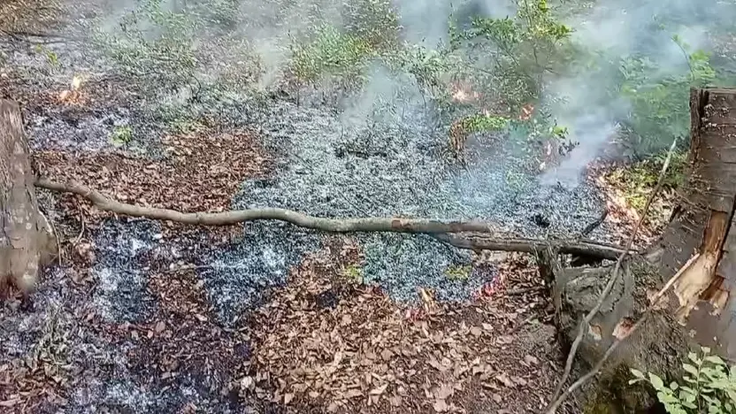 Zasah č. 22 požiar na Skalke v Jelšave,  ešte sa zasahuje